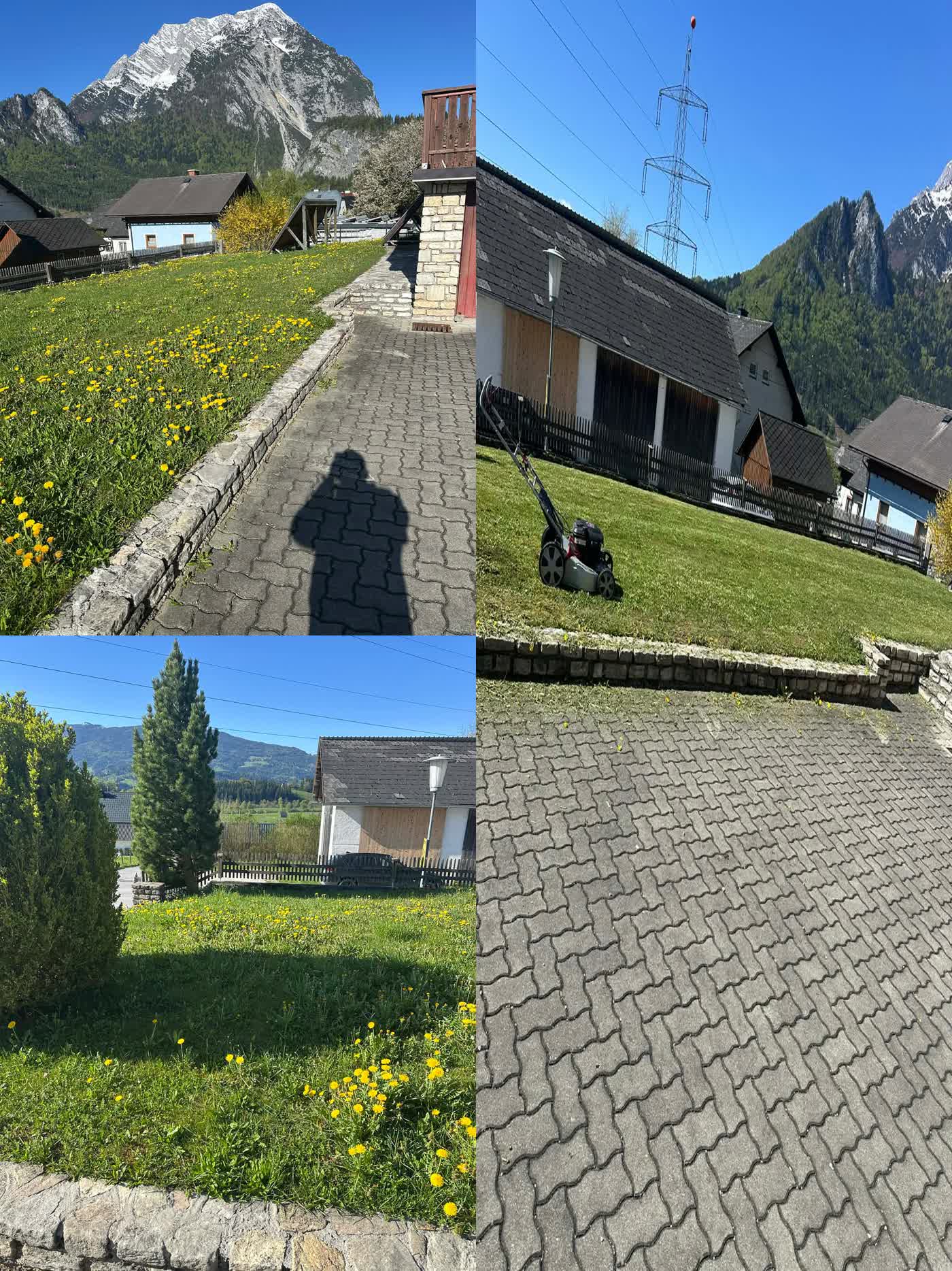 Rasen Vorher Nachher